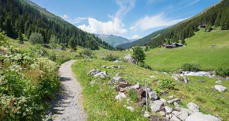 idyllic footpath Dischma valley near Davos, hiking route swiss alps grisons - 786338093