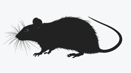 Rat silhouette isolated background vector mouse outline 