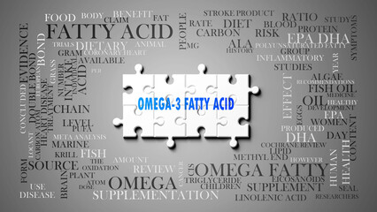 Omega-3 Fatty Acid as a complex subject, related to important topics. Pictured as a puzzle and a word cloud made of most important ideas and phrases related to omega-3 fatty acid. ,3d illustration