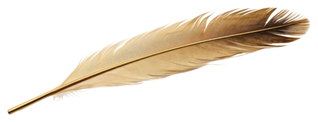 PNG  Quill white background lightweight accessories