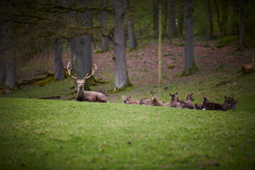 Bilsteintal in Warstein, Kreis Soest, Landkreis Soest, Deutschland, Europa, April 2024