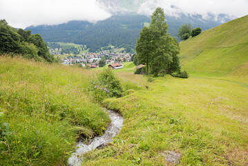 little creek in the pasture, landscape near Klosters Monbiel, tourist resort prattigau - 786344045