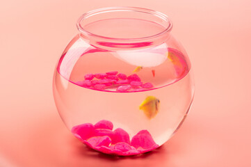 Small aquarium bowl for fishes