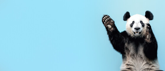 An endearing image of a panda raising its paw as if to salute, set on a soothing pastal blue...