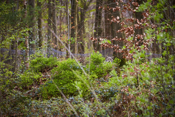 Bilsteintal in Warstein, Kreis Soest, Landkreis Soest, Deutschland, Europa, April 2024