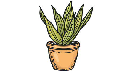 Sansevieria houseplant in a pot. Vector doodle illustration