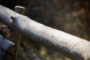 frost on wooden fence in very cold day