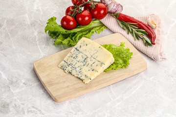 Gourmet blue cheese with mold