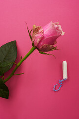 Women's menstrual tampon and rose on pink