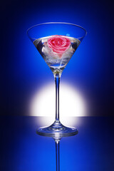 Martini glass with pink rose in ice on bright blue