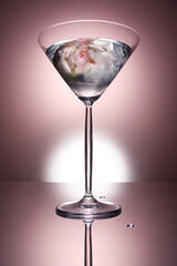 Martini glass with rose in ice on dusty pink