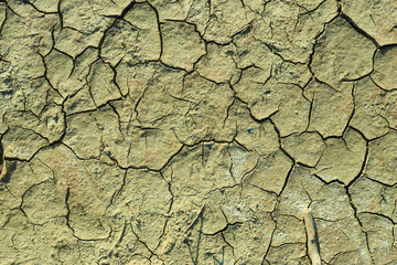 The ground cracked due to dryness in the dry season