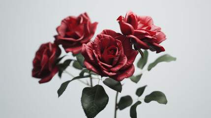 A bouquet of deep red roses with lush green leaves, presenting a contrast with the clear white backdrop.