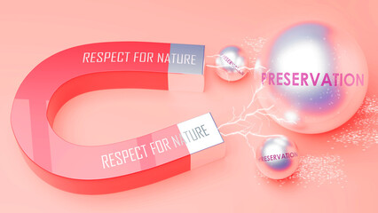Respect For Nature attracts Preservation. A magnet metaphor in which Respect For Nature attracts multiple Preservation steel balls. ,3d illustration - obrazy, fototapety, plakaty