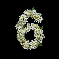 The number six is made of delicate white flowers on a black background.