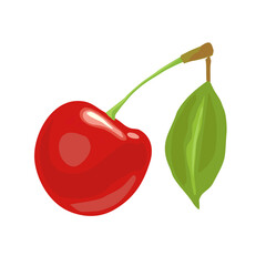 Whole cherry berry with leaf. Vector color icon. Isolated on white