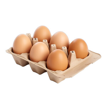 empty cardboard for eggs SVG on transparent background