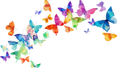 Group of Rainbow Butterflies Flying in the Air