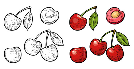 Whole and half cherry berry with leaf. Vector engraving - 786364075