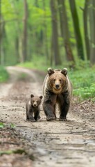 Male bear and cub portrait with space for text, object on right side for balanced composition