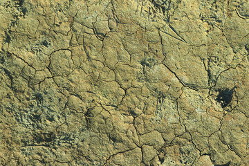 The ground cracked due to dryness in the dry season