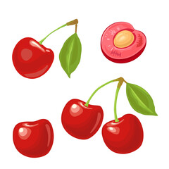 Whole, half cherry berry with seed and leaf. Color flat