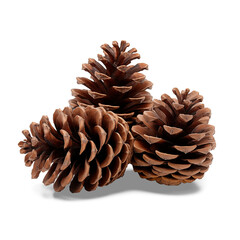 brown pine cones, possibly used for decoration during the winter season