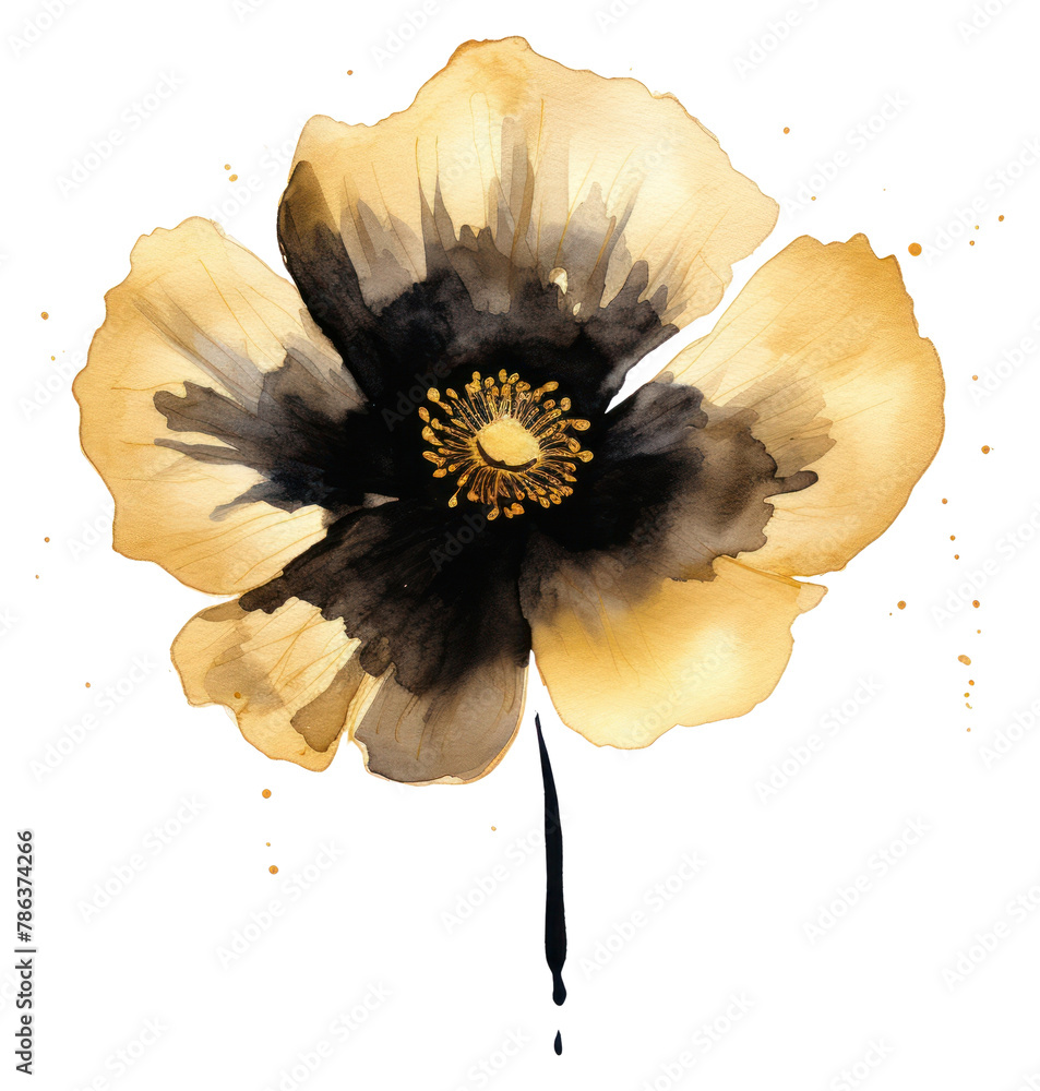 Wall mural png black color poppy flower petal plant. - Wall murals