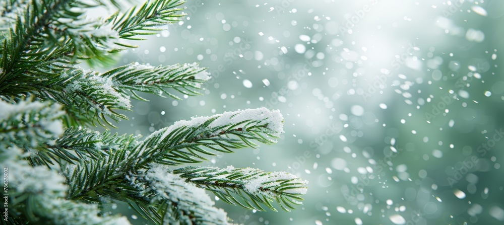 Poster christmas background featuring spruce branch and snowflakes frame, perfect for adding text