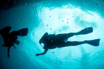 A beautiful silhouette of latina scuba divers diving underwater