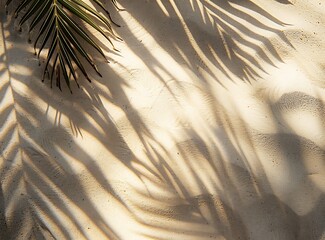 A shadow of palm leaves on the sand background in a top view - Powered by Adobe