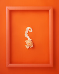Clementine in picture frame on orange background