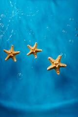 Starfish in blue ocean water with waves and bubbles