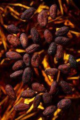 Cocoa beans on blurred gold background