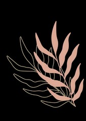 set of black and white feathers