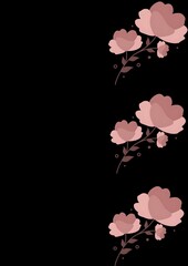 pink rose background