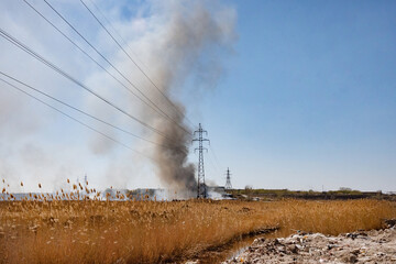 Ignition of dry grass and reeds near residential buildings.