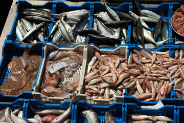 Frischer Fisch auf dem historischen Fischmarkt Catania, Catania, Sizilien, Italien