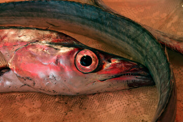 Silver Scabbardfish auf dem historischen Fischmarkt Catania, Catania, Sizilien, Italien - obrazy, fototapety, plakaty