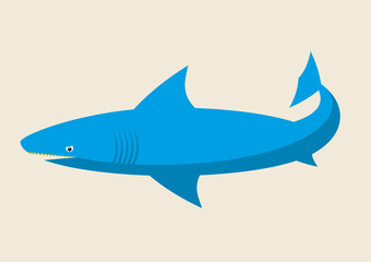 Shark, animal vector illustration, rare and endangered animal, fish, ocean, sea stock illustration