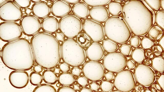 Transparent cosmetic gel fluid with molecule bubbles oil distribution. Bubble cluster, cells under a microscope. Macro Shot of Natural Organic Cosmetics, Medicine. Production Close-up. Slow Motion. 4k