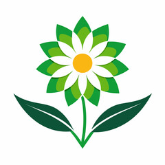 A Vector Illustration of Flowers	
