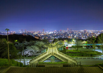 桜満開の竜王公園から眺める広島市街夜景(広島県広島市)