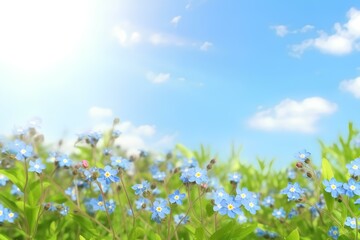 Fototapeta premium field of flowers made by midjourney