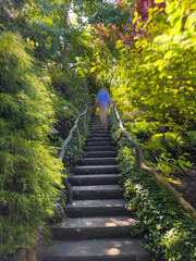 Ancient garden steps with ghostly man in blue