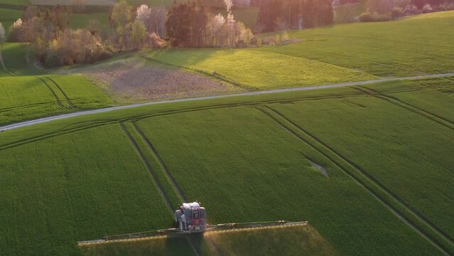 Drohne fliegt im Abendlicht &uuml;ber Traktor, der ein Getreidefeld spritzt, Luftaufnahme