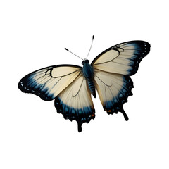 colorful butterfly transparent png without background