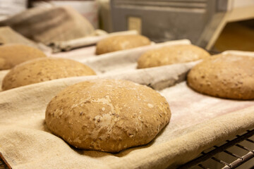 Bread in a French bakery from south of France