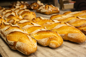 Bread in a French bakery from south of France