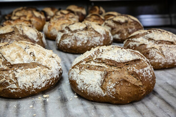 Bread in a French bakery from south of France